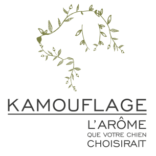 KAMOUFLAGE | Shampooing naturel 2