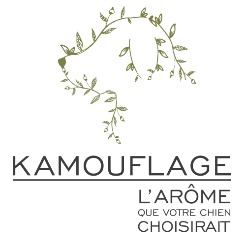 KAMOUFLAGE | Shampooing naturel