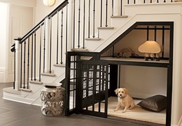 Barkitecture : Quand nos compagnons à quatre pattes inspirent le design d’intérieur